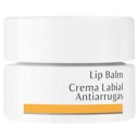Dr. Hauschka Lip Balm 4.5 ml