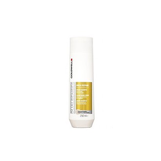 Goldwell Dualsenses Rich Repair Cream Shampoo For Dry And Stressed Hair ( Dry and Brittle Hair )