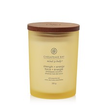 Chesapeake Bay Strength & Energy Candle ( medium tumbler ) 250 g