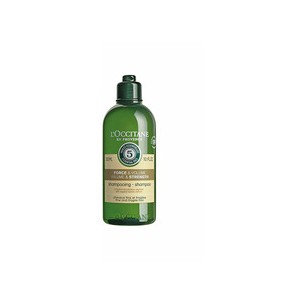 L´occitane Volume & Strength Shampoo ( jemné a křehké vlasy ) - Šampūnas 300 ml