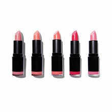 Makeup Revolution Revolution PRO Pinvnt. Lipstick Collection ( 5 vnt. 
