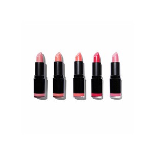 Makeup Revolution Revolution PRO Pinvnt. Lipstick Collection ( 5 vnt. 