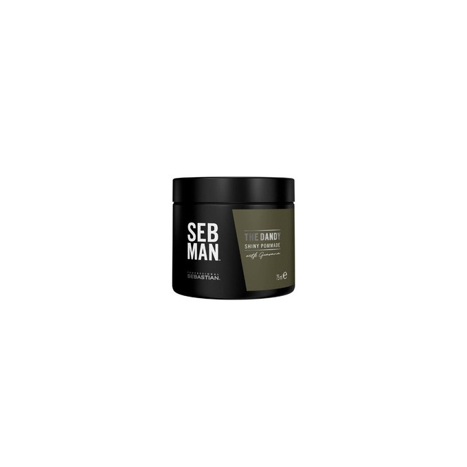 Sebastian Professional SEB MAN The Dandy Shiny Pommade - Hair pomade 75 ml