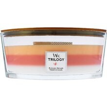 WoodWick Blooming Orchard Trilogy Ship ( Blooming Orchard ) 453.6 g
