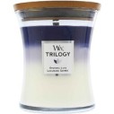 WoodWick Evening Luxe Trilogy Vase 609 g