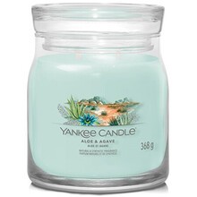 Yankee Candle Aloe & Agave Signature Candle 368 g