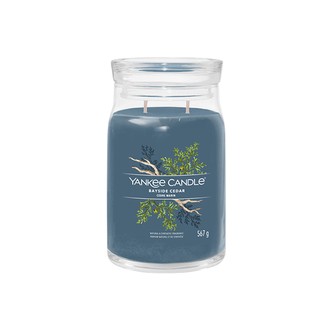 Yankee Candle Bayside Cedar Signature Candle 567 g