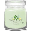 Yankee Candle Cucumber Mint Cooler Signature Candle (cucumber mint lemonade) 567 g