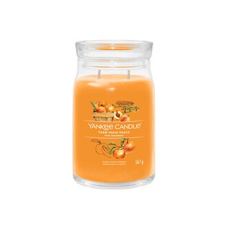Yankee Candle Farm Fresh Peach Signature Candle (farm fresh peach) 567 g