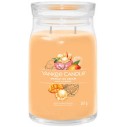 Yankee Candle Mango Ice Cream Signature Candle (mango ice cream) 368 g