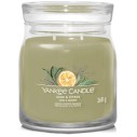 Yankee Candle Sage & Citrus Signature Candle (sage and citrus) 368 g
