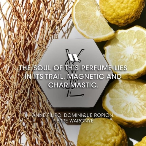 Yves Saint Laurent L`Homme EDT kvepalai vyrams, 100 ml