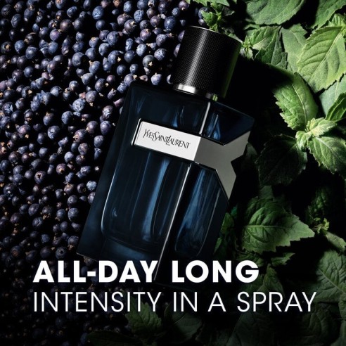 Yves Saint Laurent Y Intense EDP kvepalai vyrams, 100 ml