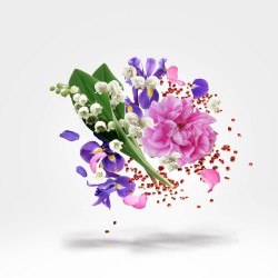 Xerjoff Shooting Star Lua EDP kvepalai moterims, 50 ml 2