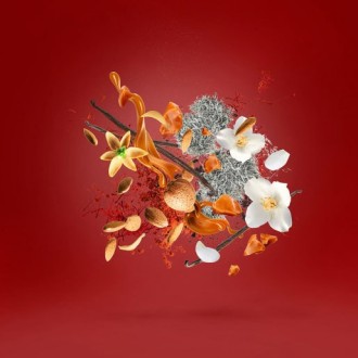 Xerjoff Casamorati 1888 Italica EDP unisex kvepalai, 100 ml 2