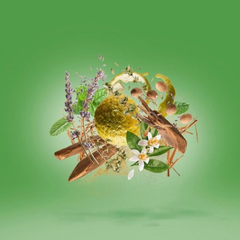 Xerjoff Casamorati 1888 Fiero EDP kvepalai vyrams, 100 ml