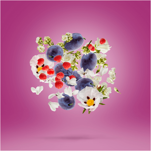 Xerjoff Muse EDP unisex kvepalai, 50 ml