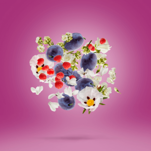 Xerjoff Muse EDP unisex kvepalai, 100 ml