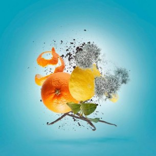 Xerjoff Erba Pura EDP unisex kvepalai, 50 ml