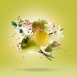 Xerjoff Amabile EDP unisex kvepalai, 50 ml 2