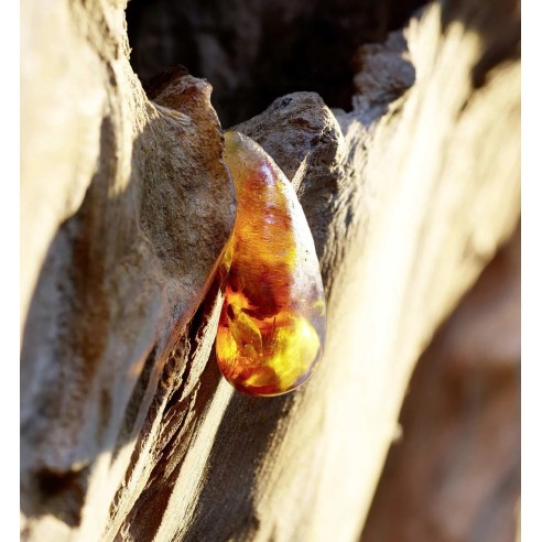 Dior Sauvage EDT kvepalai vyrams, 100 ml