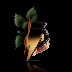 Carolina Herrera Bad Boy Extreme EDP kvepalai vyrams, 100 ml 2