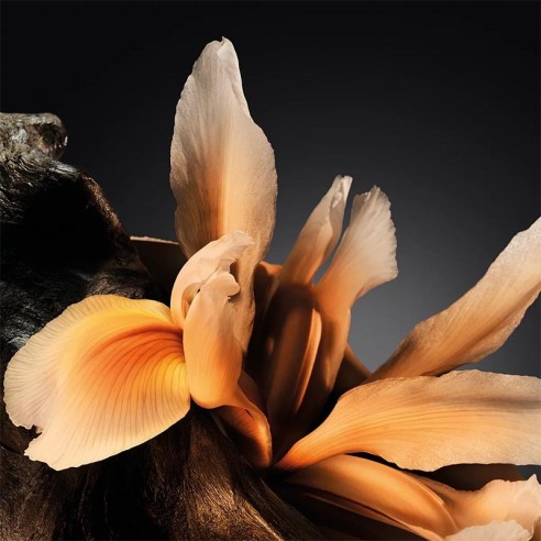 Hugo Boss Boss Bottled Perfume kvepalai vyrams, 200 ml