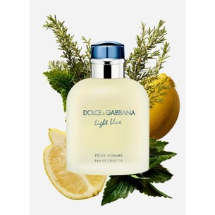 Dolce Gabbana Light Blue pour Homme EDT kvepalai vyrams, 125 ml