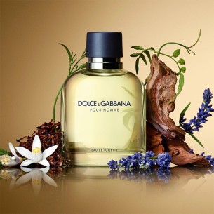 Dolce Gabbana Pour Homme EDT kvepalai vyrams, 200 ml