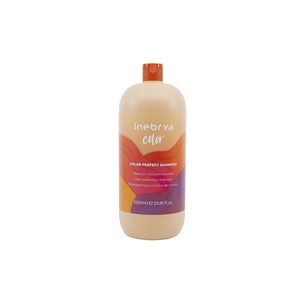 Inebrya Color Perfect Shampoo 300 ml