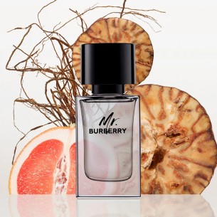 Burberry Mr. Burberry EDT kvepalai vyrams, 100 ml
