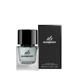 Burberry Mr. Burberry EDT kvepalai vyrams, 50 ml 2