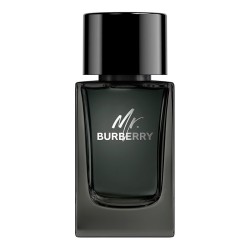 Burberry Mr. Burberry Eau de Parfum EDP kvepalai vyrams, 100 ml