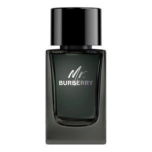 Burberry Mr. Burberry Eau de Parfum EDP kvepalai vyrams, 100 ml