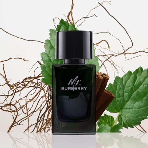 Burberry Mr. Burberry Eau de Parfum EDP kvepalai vyrams, 150 ml