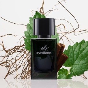 Burberry Mr. Burberry Eau de Parfum EDP kvepalai vyrams, 150 ml