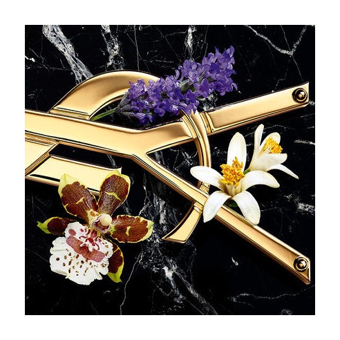 Yves Saint Laurent Libre Intense EDP kvepalai moterims, 30 ml