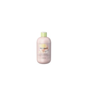 Inebrya Ice Cream Frequent Daily Shampoo 300 ml