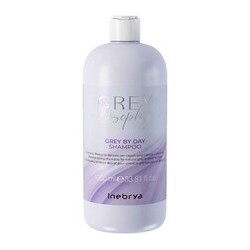 Inebrya Inebrya Grey By Day Shampoo 1000 ml