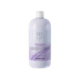 Inebrya Inebrya Grey By Day Shampoo 300 ml