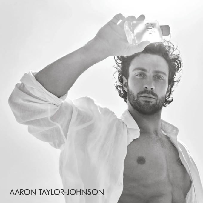 Armani Acqua di Gio Man EDT 100 ml and deostick Acqua di Gio Man 75 ml vyrams vyrams