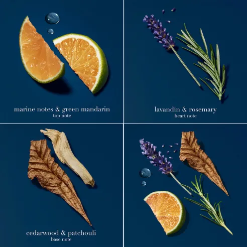 Armani Acqua of Gio Profondo EDP kvepalai vyrams, 100 ml