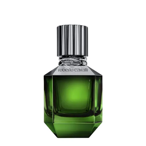 Cavalli Roberto Paradise Found For Men EDT kvepalai vyrams, 50 ml