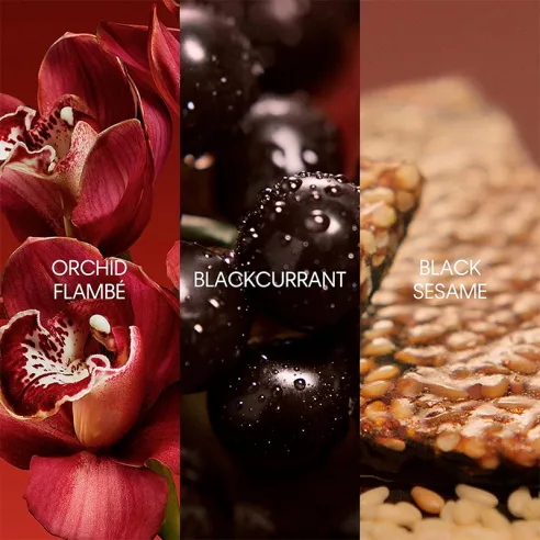 Calvin Klein My Euphoria dovanų rinkinys – EDP 100 ml ir mini EDP 10 ml