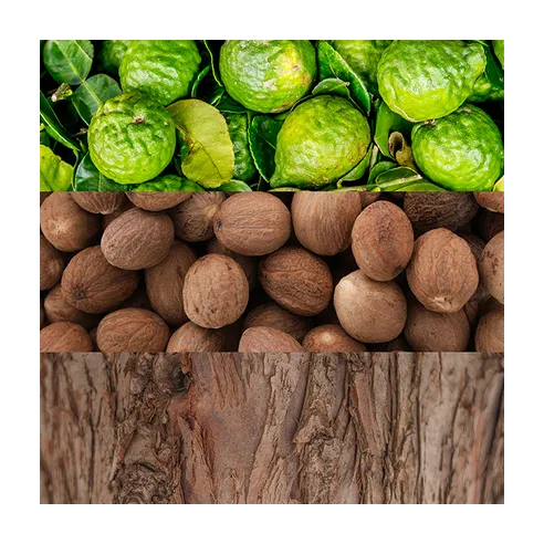 Calvin Klein Man EDT kvepalai vyrams, 50 ml