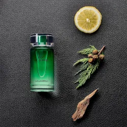 Lagerfeld Les Parfums Matieres Bois de Cypres EDT kvepalai vyrams, 50 ml