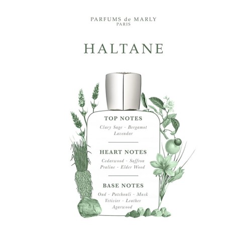 Parfums De Marly Haltane EDP kvepalai vyrams, 125 ml