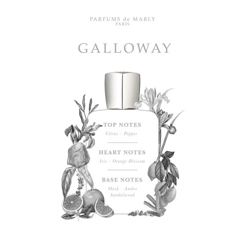 Parfums De Marly Galloway EDP 125 ml unisex kvepalai