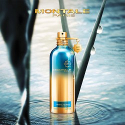 Montale Paris Herbal Aquatica EDP kvepalai unisex, 100 ml