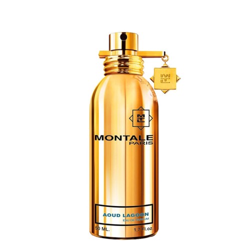 Montale Paris Aoud Lagoon EDP kvepalai vyrams, 50 ml